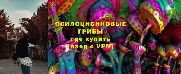 скорость Бикин